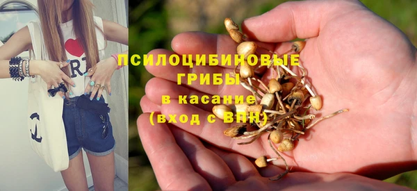 спайс Верхний Тагил