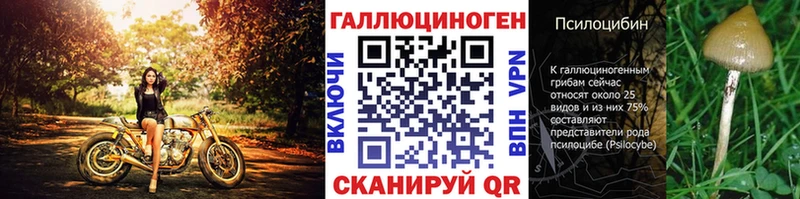 Галлюциногенные грибы MAGIC MUSHROOMS darknet Telegram Новое Девяткино как найти закладки